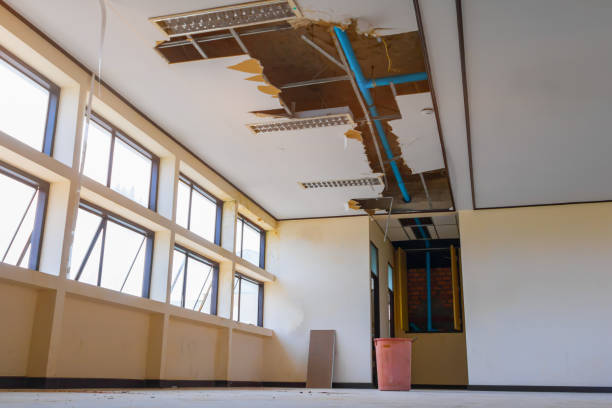Best Ceiling water damage repair  in Huntington Bay, NY