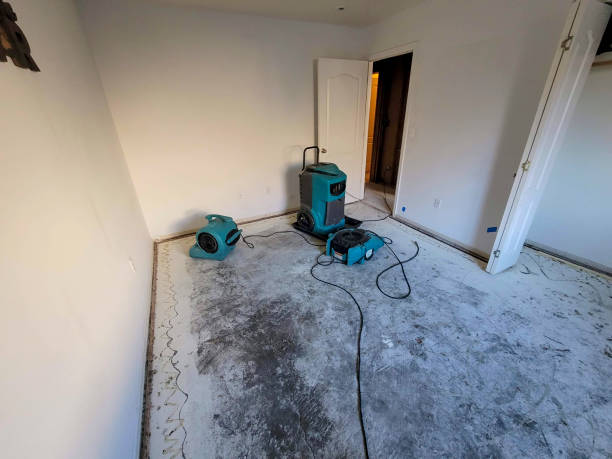 Best Local water damage restoration  in Huntington Bay, NY