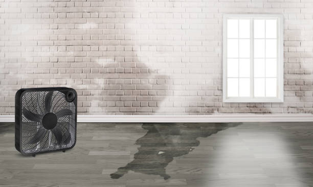Water damage restoration process in NY