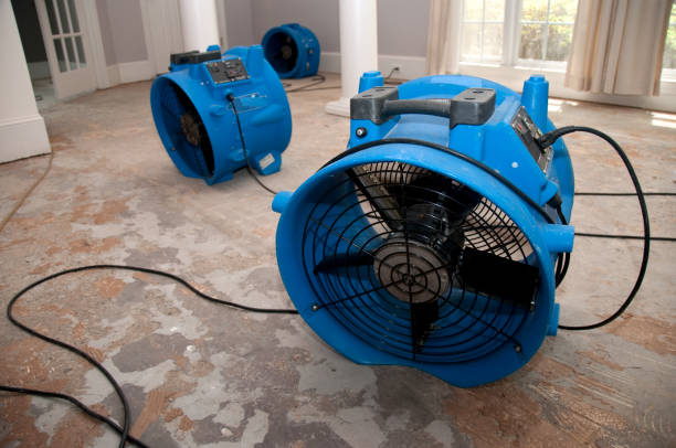 Best Flooded house restoration  in Huntington Bay, NY