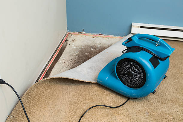 Best Professional water damage repair  in Huntington Bay, NY
